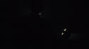 the100108_0484.jpg