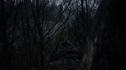 the100108_0696.jpg