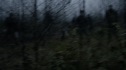 the100108_0745.jpg