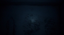 the100108_0773.jpg