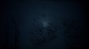 the100108_0774.jpg