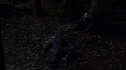the100108_1076.jpg
