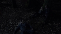 the100108_1150.jpg