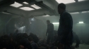 the100109_0190.jpg
