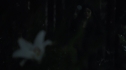 the100109_0320.jpg