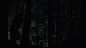 the100109_0326.jpg