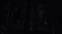 the100109_0327.jpg