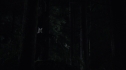 the100109_0328.jpg