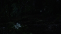 the100109_0330.jpg