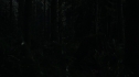 the100109_0762.jpg