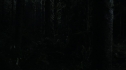 the100109_0763.jpg