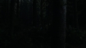 the100109_0764.jpg