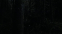 the100109_0765.jpg