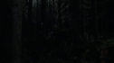the100109_0766.jpg