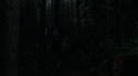 the100109_0767.jpg