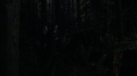 the100109_0768.jpg