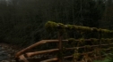 the100109_0906.jpg