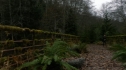 the100109_0907.jpg