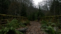 the100109_0908.jpg