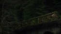 the100109_0956.jpg