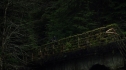 the100109_0957.jpg