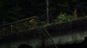the100109_0993.jpg
