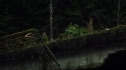 the100109_0994.jpg