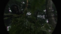the100109_1167.jpg