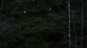 the100109_1180.jpg