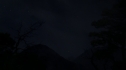 the100109_1343.jpg
