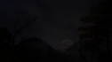 the100109_1346.jpg