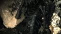 the100110_0023.jpg