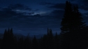 the100110_0066.jpg