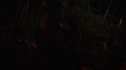 the100110_0069.jpg