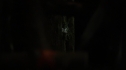 the100110_0073.jpg