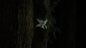 the100110_0075.jpg
