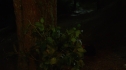 the100110_0120.jpg