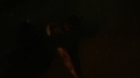 the100110_0126.jpg