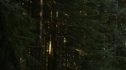 the100110_0191.jpg
