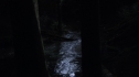 the100110_0973.jpg