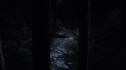 the100110_0974.jpg