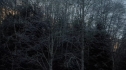 the100110_1049.jpg