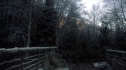 the100110_1050.jpg