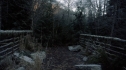 the100110_1052.jpg