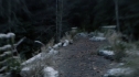 the100110_1063.jpg