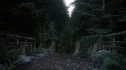 the100110_1079.jpg