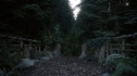 the100110_1080.jpg