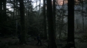 the100110_1082.jpg