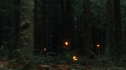 the100110_1091.jpg
