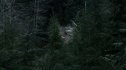 the100110_1101.jpg